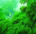 躺着到西天