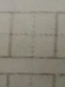 穿越精灵梦叶罗丽愿望