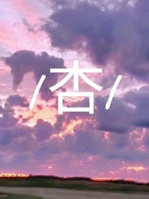 王炸四子。杏