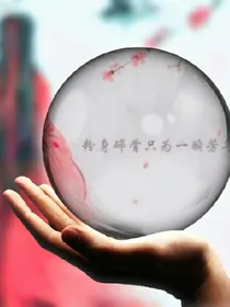 活佛济公之花世情缘
