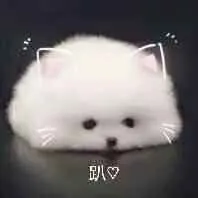 轩玥本无情