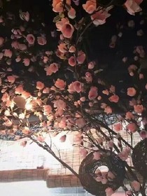.宿命.