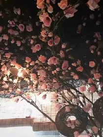 .宿命.