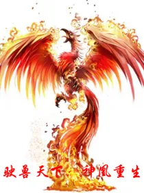 驶兽天下：神凰重生
