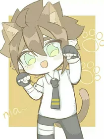 假如我有一只猫