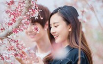 凯少的专属:丫头，你好甜