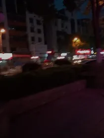 今年我十五岁