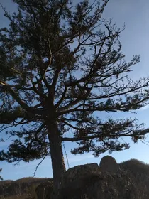 隐藏在校园的奇侠