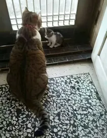 酸酸甜甜有点咸
