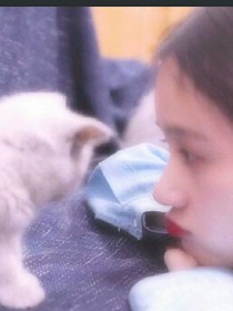 猫咪殿下，我错了。！