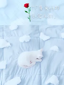 TF易安yh的小宠儿们。