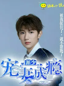 源少宠妻成瘾