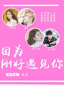 .因为刚好遇见你.