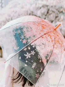 魔法梦境