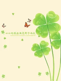 薄荷四叶草