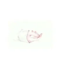 感情随想