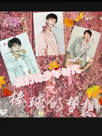 我们的少年时代之棒球的梦想