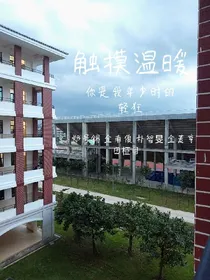 BTS之触摸温暖