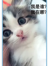 无哦哈哈哈