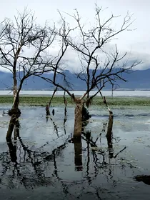 流年浮乱余生