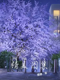 神奇的图集