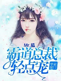 霸道总裁轻点宠~