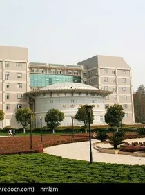 当春风吹过青春