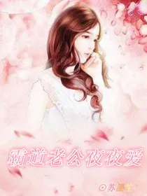 霸道老公夜夜爱