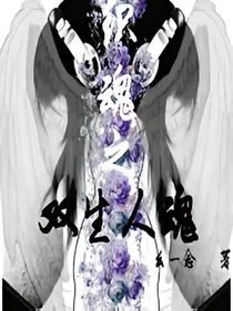 织魂之双生人魂