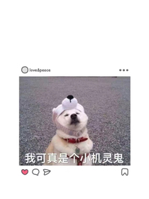我思春的娱乐圈