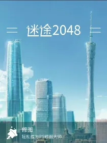 迷途2048