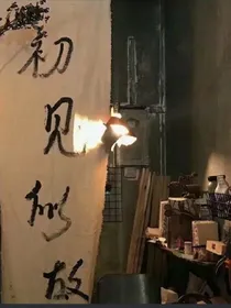 霸道总裁纵容的娇妻