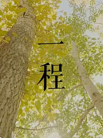 查理九世:一程