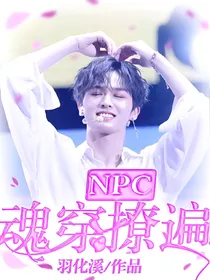 魂穿:撩遍npc