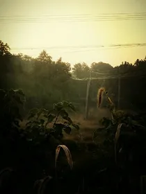 连环杀人案只死亡笔录