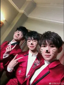四叶草爱TFBOYS