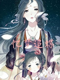 忆梦追蝶