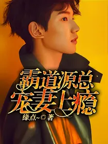 霸道源总：宠妻上瘾