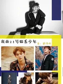 我的21号猫系少年