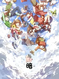 数码宝贝光与暗