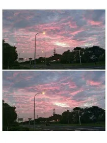 深情.