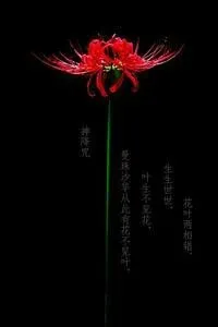 恋梦红尘