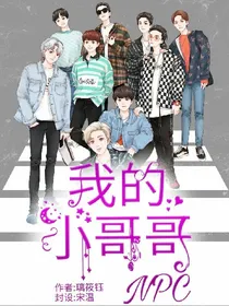 我的小哥哥npc