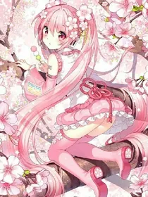 神奇宝贝之舞姿