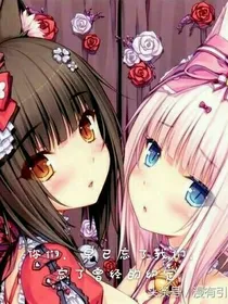 查理九世之友谊裂痕