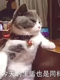 美图头像