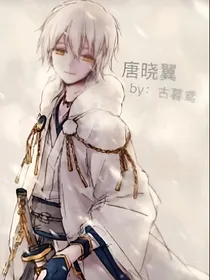查理九世之幻瑾之翼