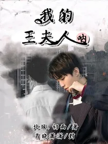 我的王夫人呐