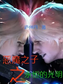 恶魔之子之永恒的光明——d762