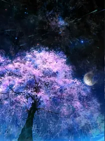 双世花缘